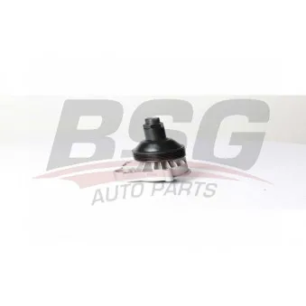 Pompe à eau BSG BSG 15-500-019