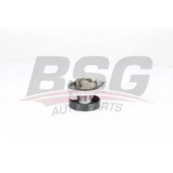 Pompe à eau BSG BSG 15-500-022