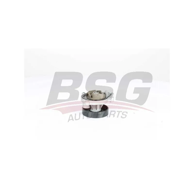 Pompe à eau BSG BSG 15-500-022
