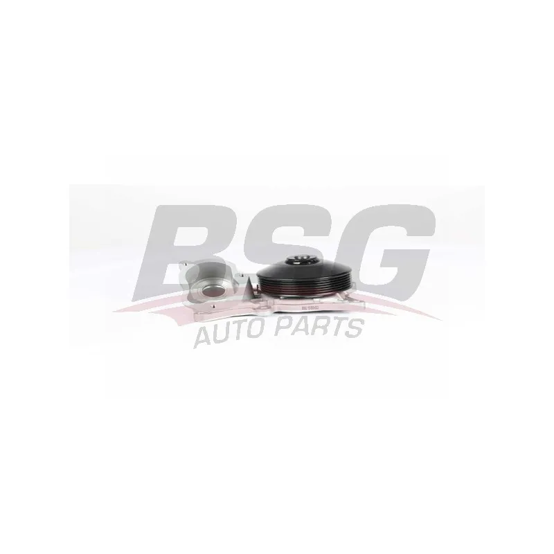 Pompe à eau BSG BSG 15-500-023