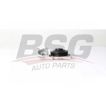 Pompe à eau BSG BSG 15-500-025