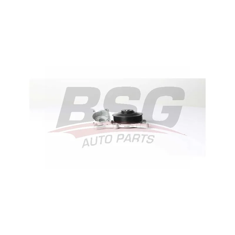 Pompe à eau BSG BSG 15-500-025