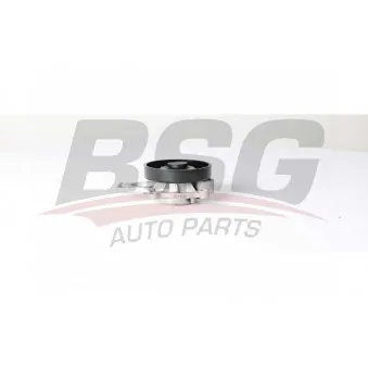 Pompe à eau BSG BSG 15-500-026