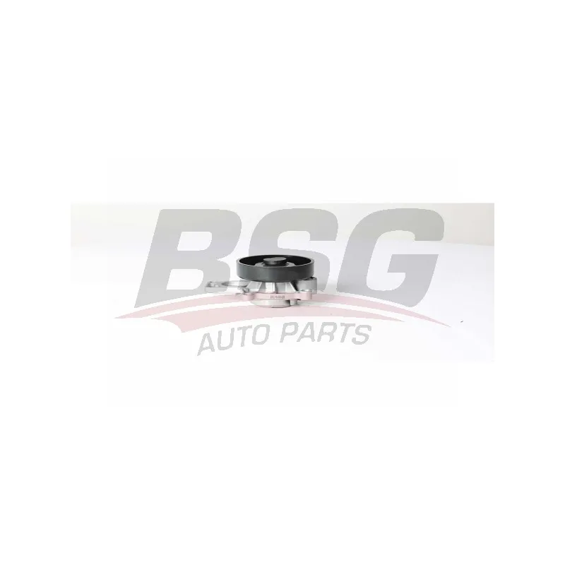 Pompe à eau BSG BSG 15-500-026