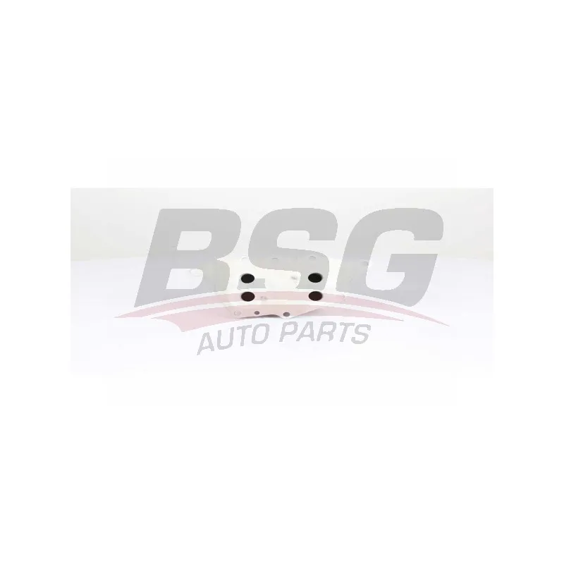 Radiateur d'huile BSG BSG 15-506-017