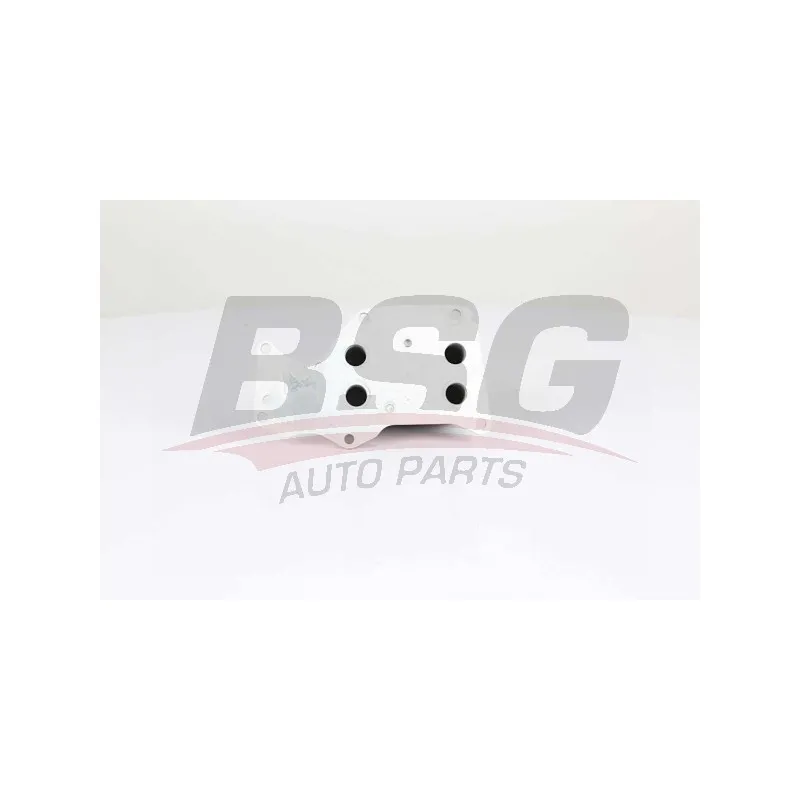 Radiateur d'huile BSG BSG 15-506-018