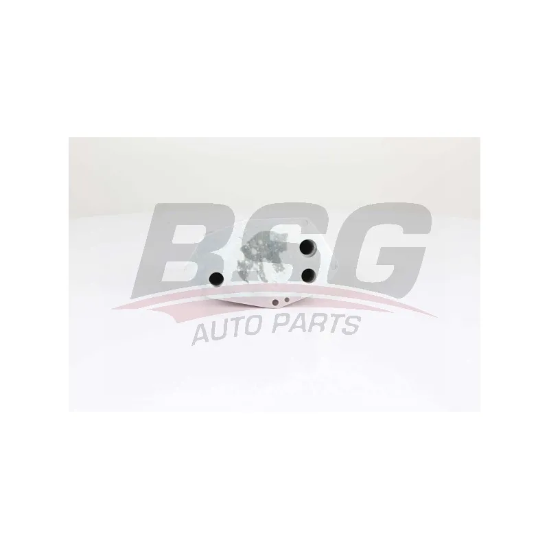 Radiateur d'huile BSG BSG 15-506-019