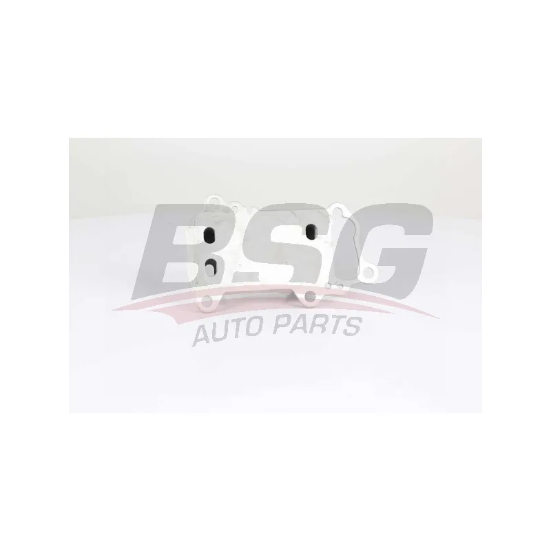 Radiateur d'huile BSG BSG 15-506-021
