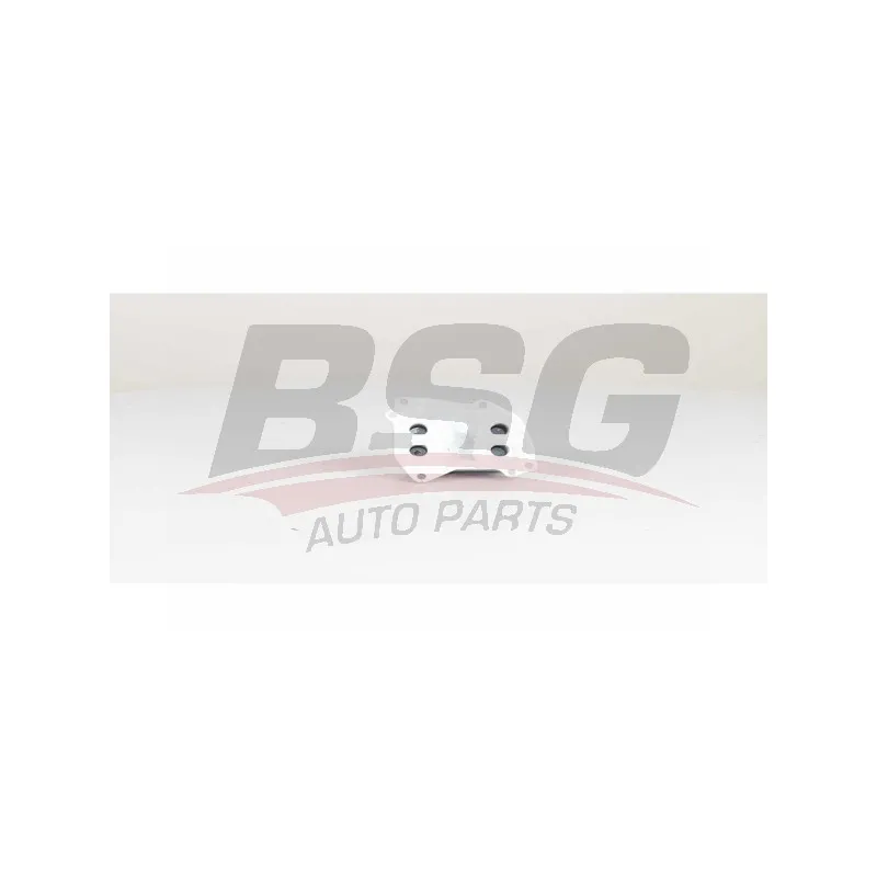 Radiateur d'huile BSG BSG 15-506-025