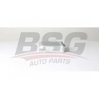 Radiateur d'huile BSG BSG 15-506-026