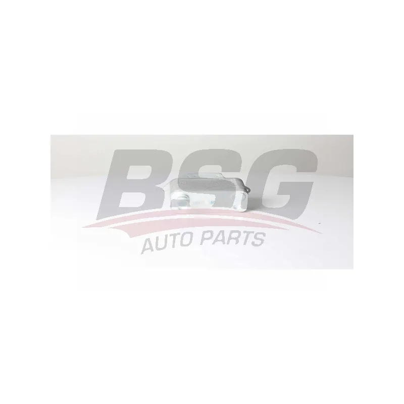 Radiateur d'huile BSG BSG 15-506-026