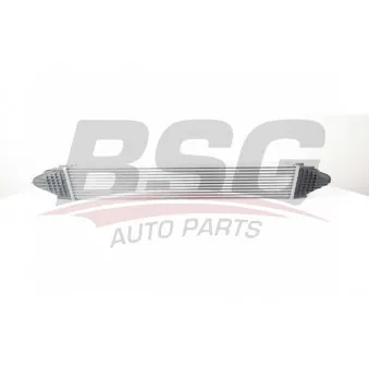 Intercooler, échangeur BSG BSG 15-535-010