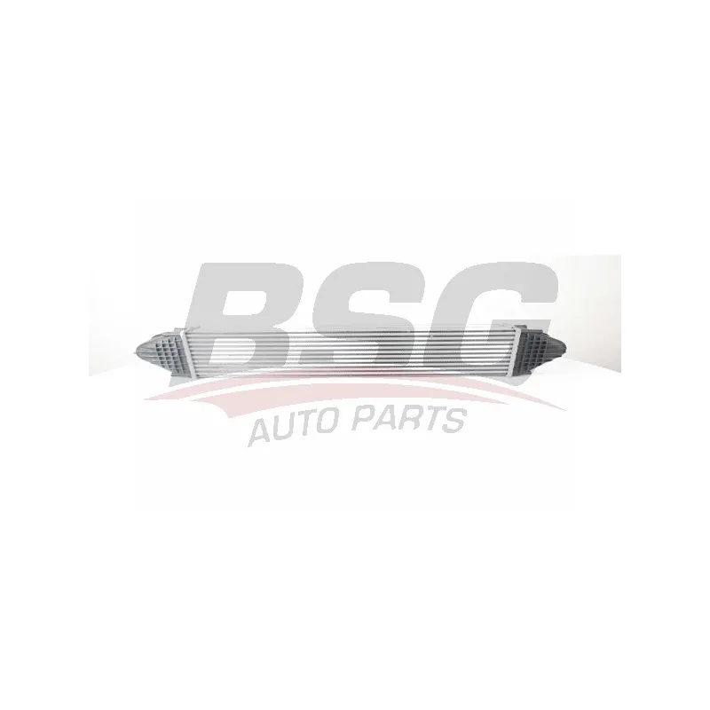 Intercooler, échangeur BSG BSG 15-535-010