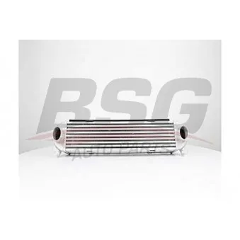 Intercooler, échangeur BSG BSG 15-535-019