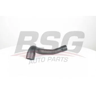 Gaine de suralimentation BSG BSG 15-720-105