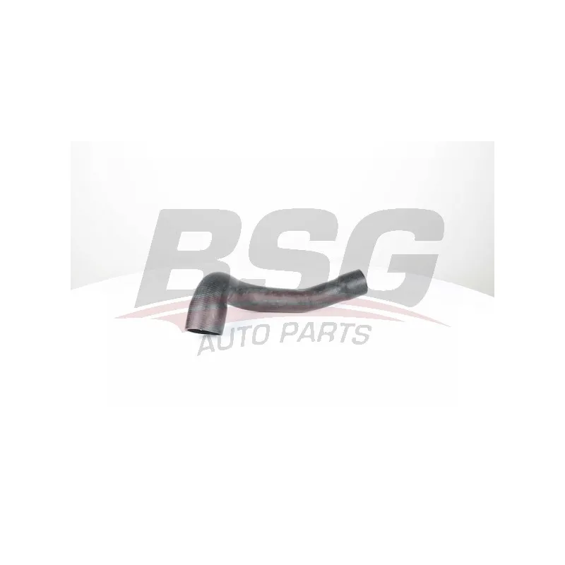 Gaine de suralimentation BSG BSG 15-720-105
