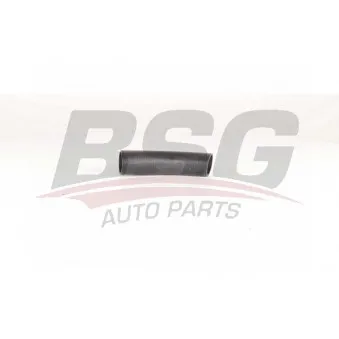 Gaine de suralimentation BSG BSG 15-720-106