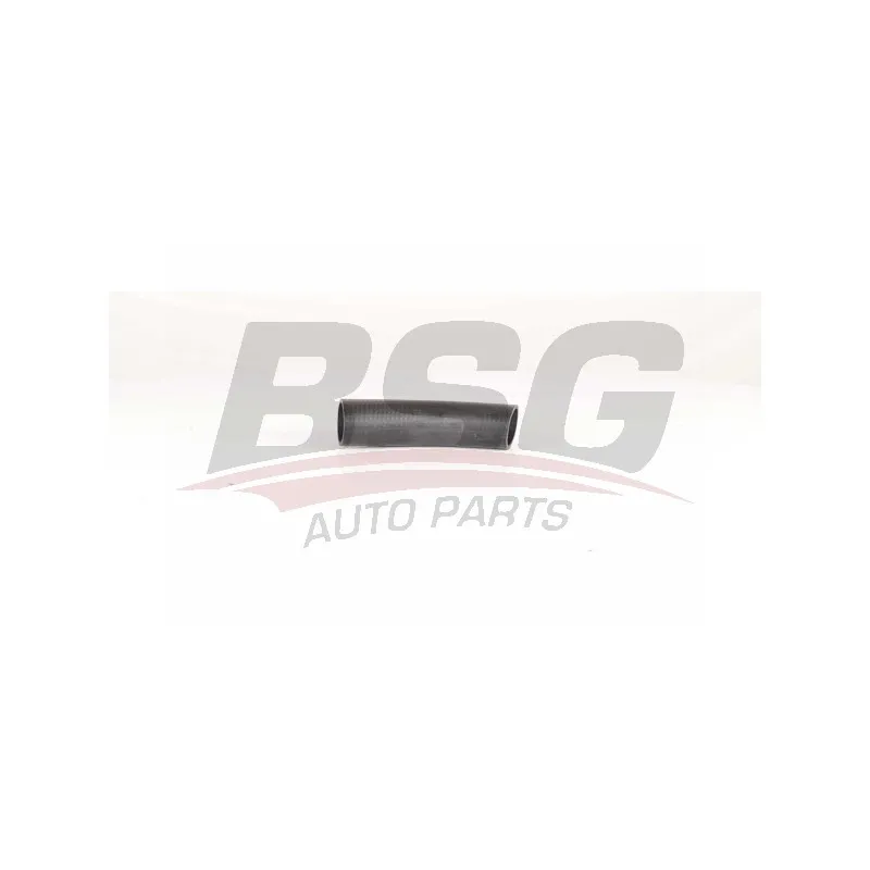 Gaine de suralimentation BSG BSG 15-720-106