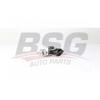 Vanne EGR BSG BSG 15-836-003