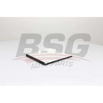 Filtre, air de l'habitacle BSG BSG 16-145-002