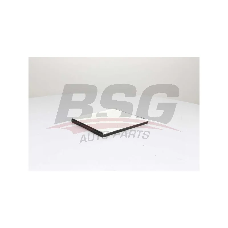 Filtre, air de l'habitacle BSG BSG 16-145-002