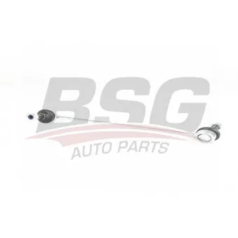 Entretoise/tige, stabilisateur BSG BSG 16-310-003