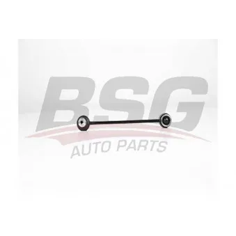 Entretoise/tige, stabilisateur BSG BSG 16-310-004
