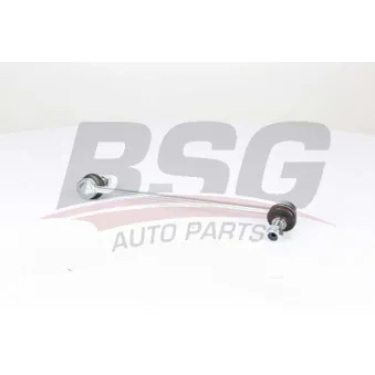 Entretoise/tige, stabilisateur BSG BSG 16-310-008