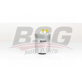 Filtre à carburant BSG BSG 25-130-003