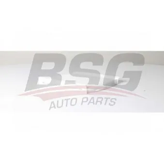 Filtre, air de l'habitacle BSG BSG 25-145-002