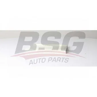 Filtre, air de l'habitacle BSG BSG 25-145-004