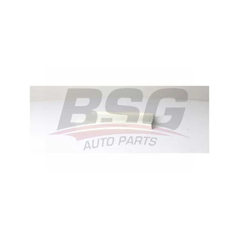 Filtre, air de l'habitacle BSG BSG 25-145-004