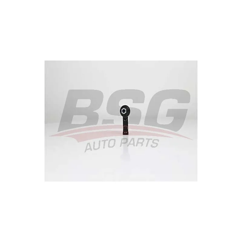 Rotule de barre de connexion BSG BSG 25-310-013