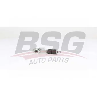 Entretoise/tige, stabilisateur BSG BSG 25-310-051