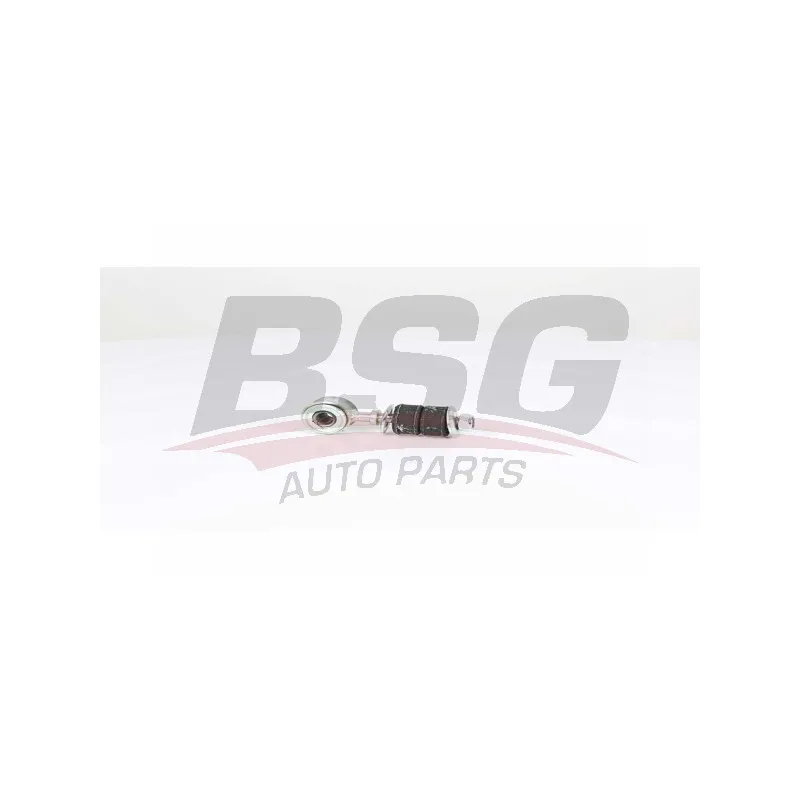 Entretoise/tige, stabilisateur BSG BSG 25-310-051