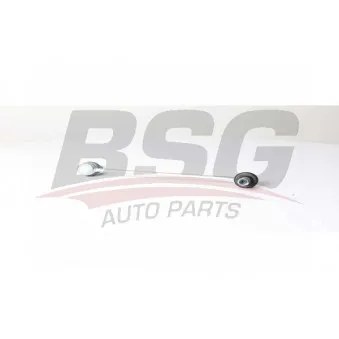 Entretoise/tige, stabilisateur BSG BSG 25-310-052