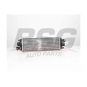 Intercooler, échangeur BSG BSG 25-535-001