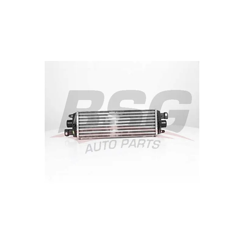 Intercooler, échangeur BSG BSG 25-535-001