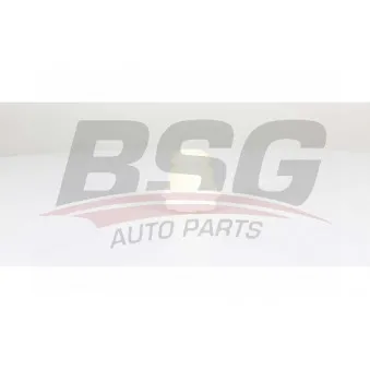 Butée élastique, suspension BSG BSG 25-700-011
