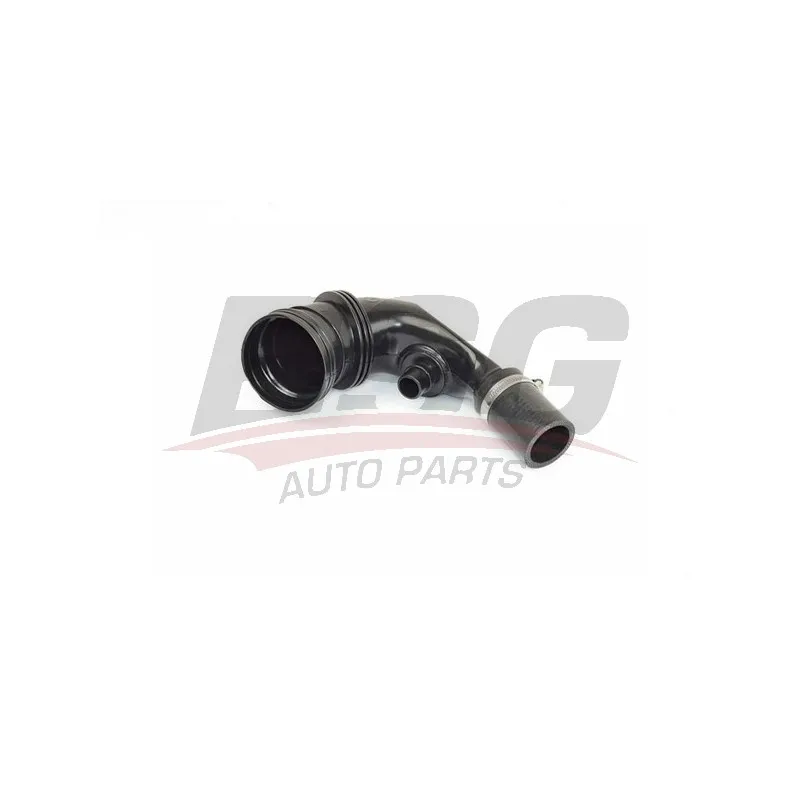 Tuyau d'aspiration, alimentation d'air BSG BSG 25-720-041