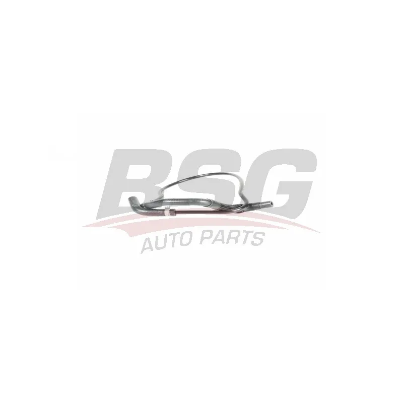 Tuyauterie de carburant BSG BSG 25-725-010