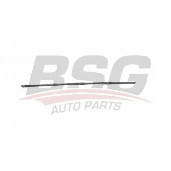 Tuyau, carburant de fuite BSG BSG 25-725-013