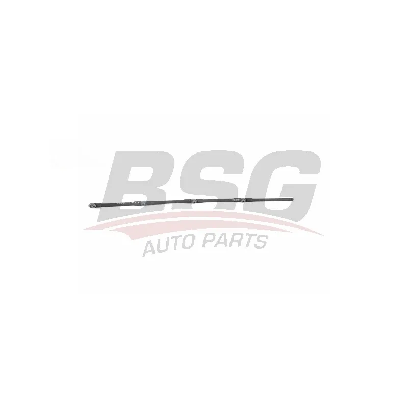 Tuyau, carburant de fuite BSG BSG 25-725-013