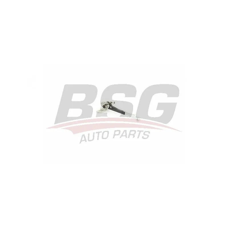 Cale-porte BSG BSG 25-975-008