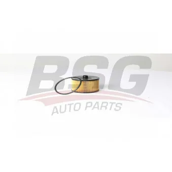 Filtre à carburant BSG BSG 30-130-018