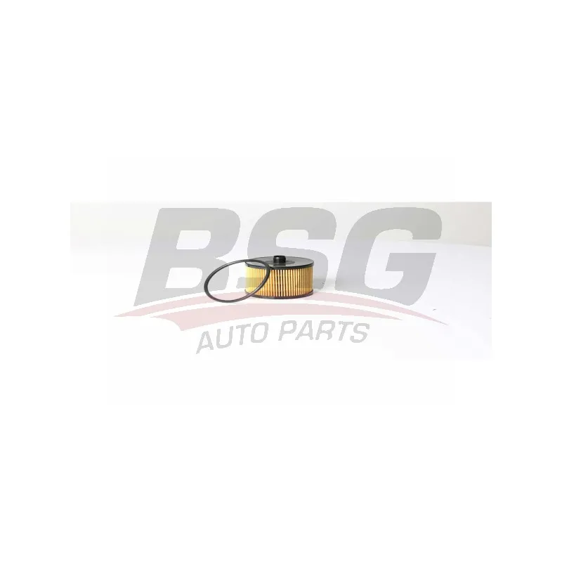 Filtre à carburant BSG BSG 30-130-018