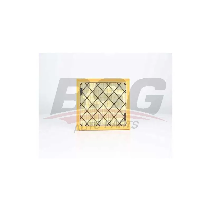 Filtre à air BSG BSG 30-135-031