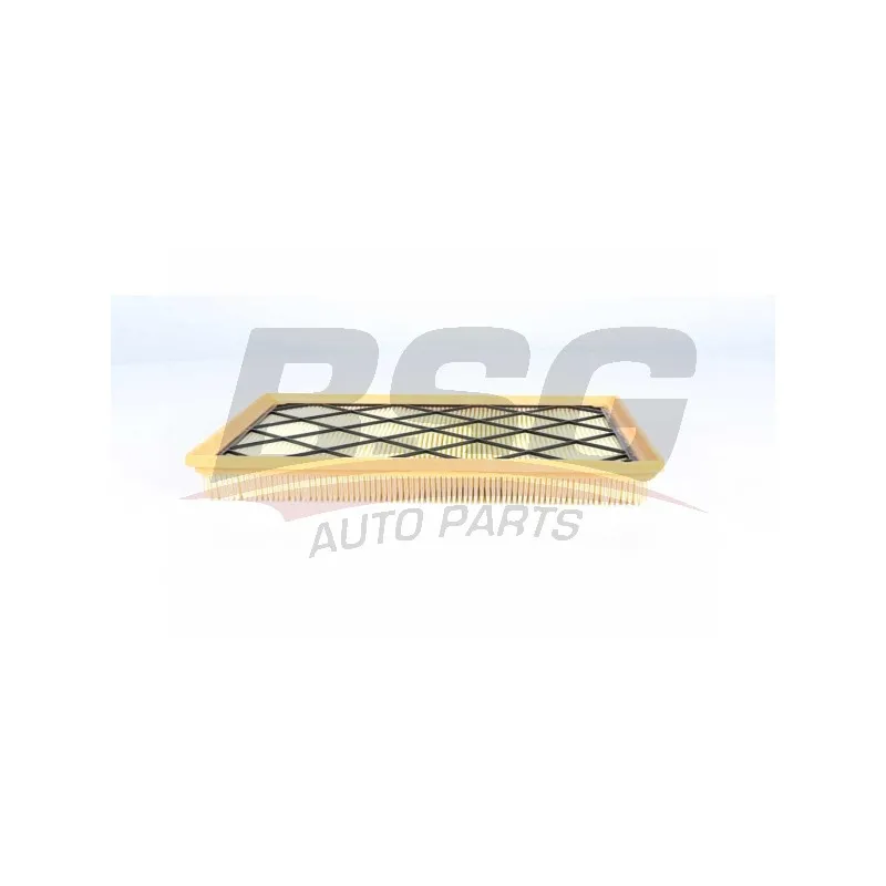 Filtre à air BSG BSG 30-135-032