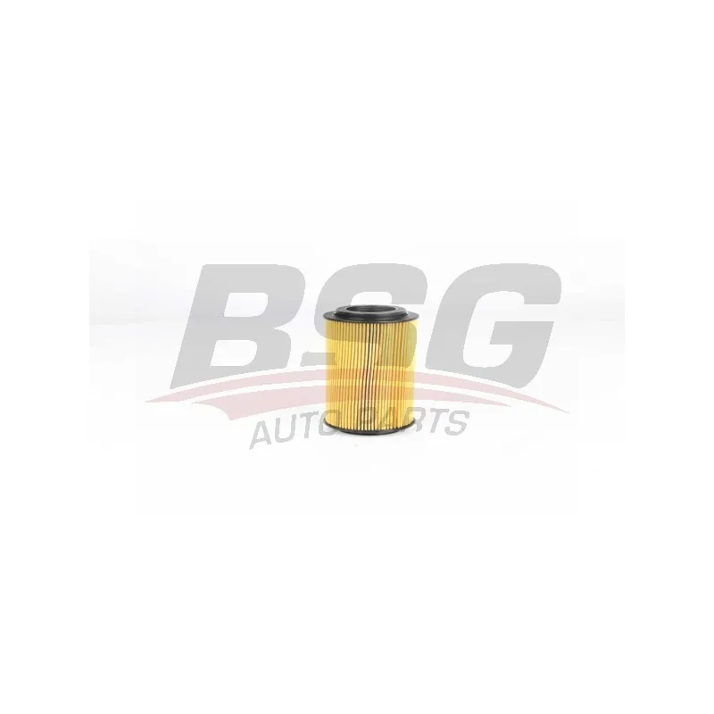 Filtre à huile BSG BSG 30-140-010