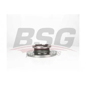 Jeu de 2 disques de frein arrière BSG BSG 30-210-044